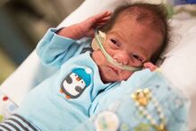 Bebés, nascimento, medicina, Hospital de São José, Lisboa, Centro Hospitalar de Lisboa Central