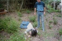 Cabo Costa, serial killer, Santa Comba Dão, PJ, Polícia Judiciária