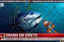 22-06-2016_12_39_06 cmpeixe.jpg