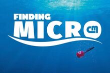 22-06-2016_14_05_44 nemo.jpg