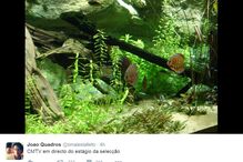 22-06-2016_15_04_54 quadros.jpg