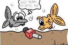 22-06-2016_15_13_01 markl.jpg