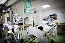 Sindicato dos Enfermeiros Portugueses, SEP, Serviço Nacional de Saúde, Guadalupe, Ana Rita Cavaco, Jorge Roque da Cunha, Sindicato Independente dos Médicos