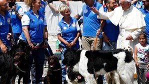 Papa recebe cães de resgate no Vaticano