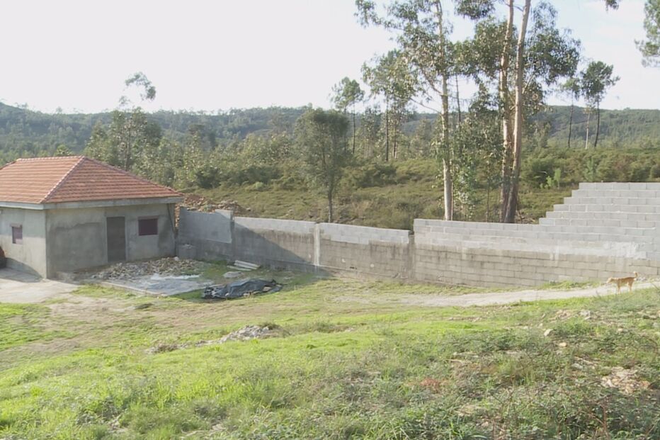 02-06-2016_03_03_55 10965751.jpg