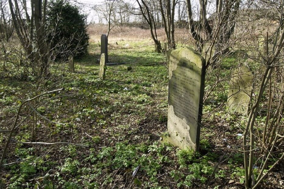 02-06-2016_11_15_42 cemit.jpg