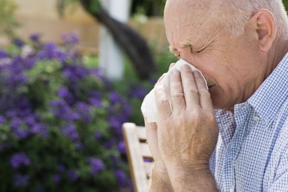 País, pólenes, questões sociais, saúde