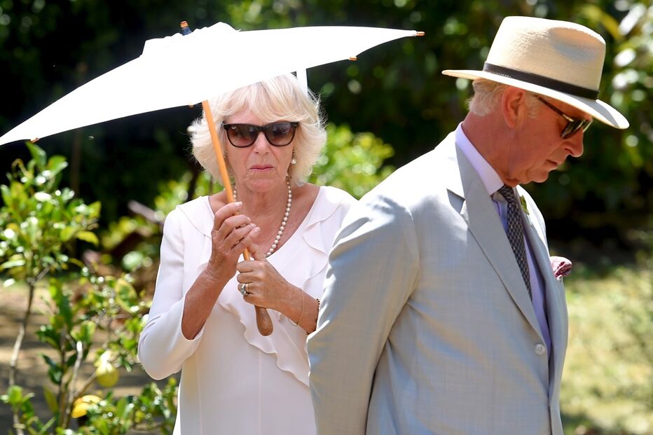 Príncipe Carlos, Camilla