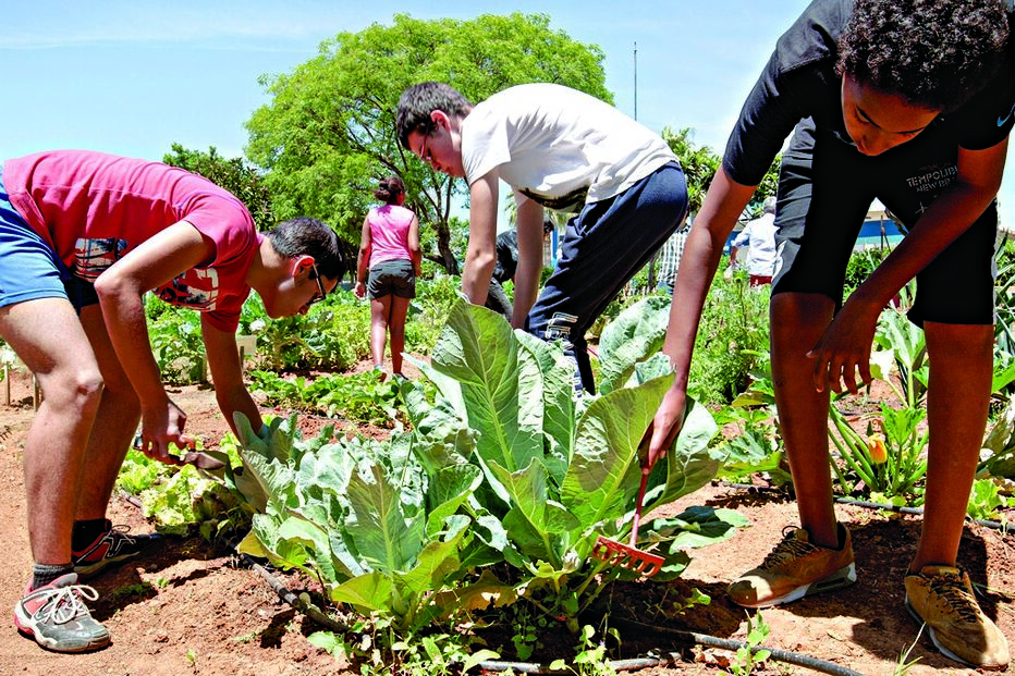 Horta biológica serve 	de terapia para jovens 