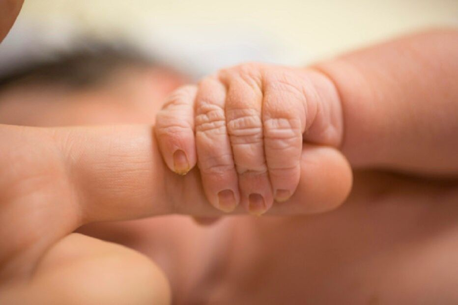 Bebé, Hospital de São José, Lisboa, morte cerebral, medicina
