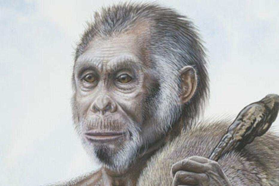 09-06-2016_09_39_29 homo.jpg