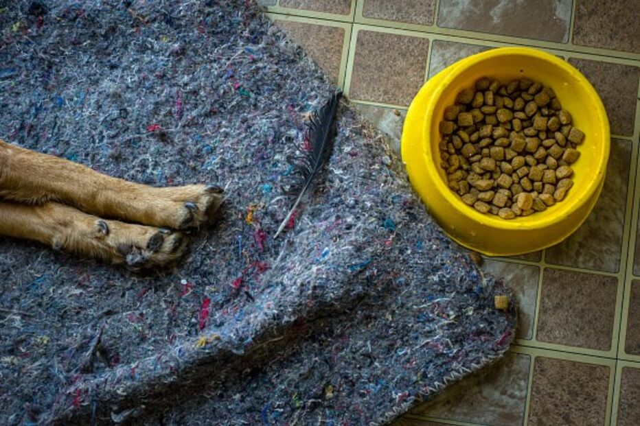 10-06-2016_09_14_09 529726790.jpg