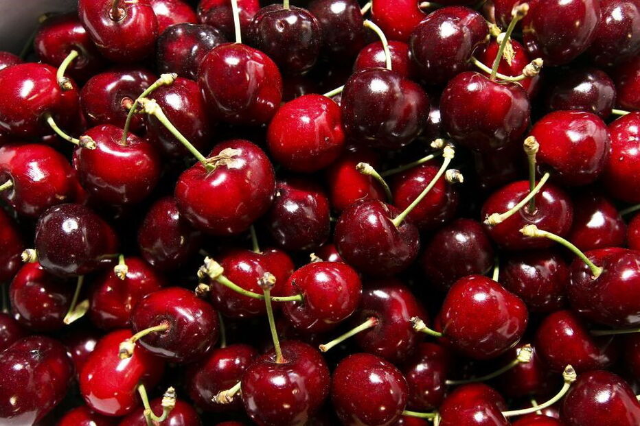 Festa da Cereja do Fundão, Gardunha, Ovar, Fundão, economia, negócios e finanças, agricultura e pescas