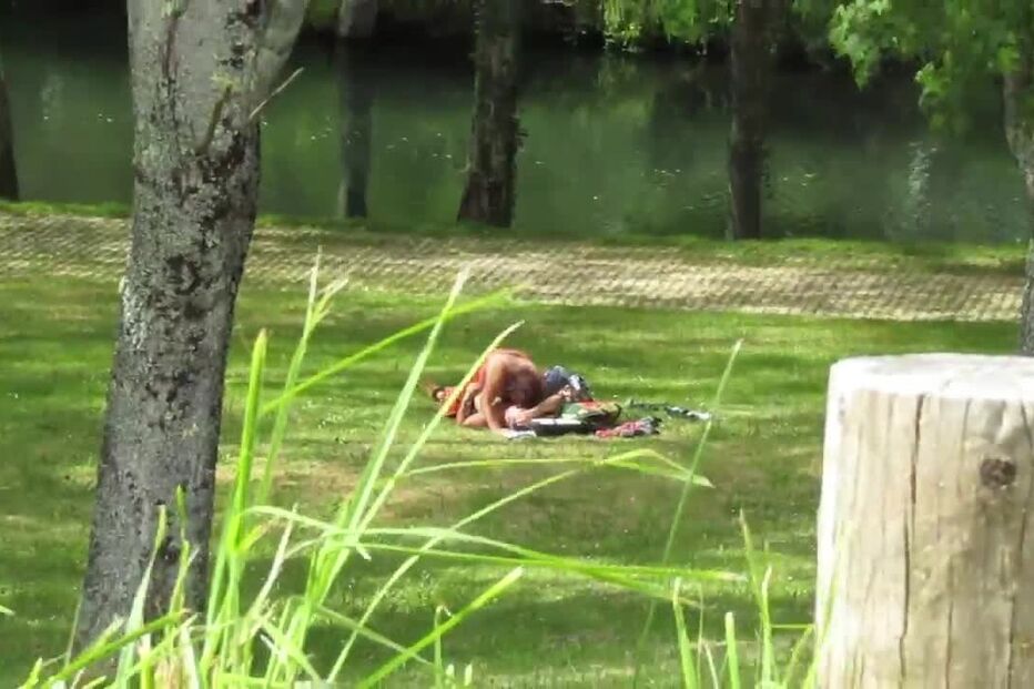 Paredes de Coura, atos sexuais, criança, sexo, vídeo