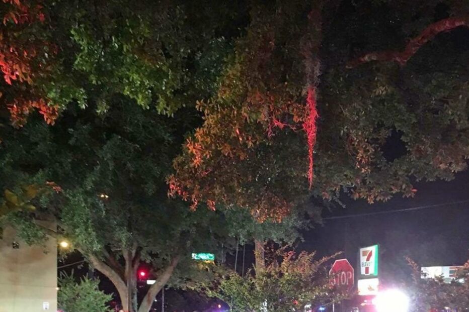 tiroteio, discoteca, EUA