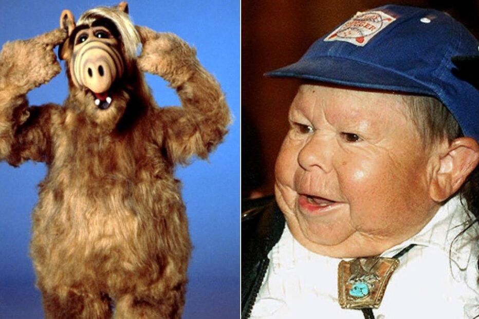 Alf, TV, televisão, Mihaly ‘Michu’ Meszaros, Hungria, Los Angeles, EUA, Estados Unidos