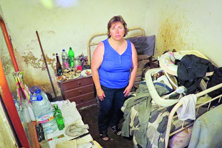 Homem vive em casa com pulgas e carraças 