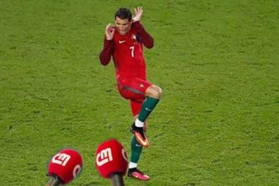 22-06-2016_12_39_09 micro.jpg