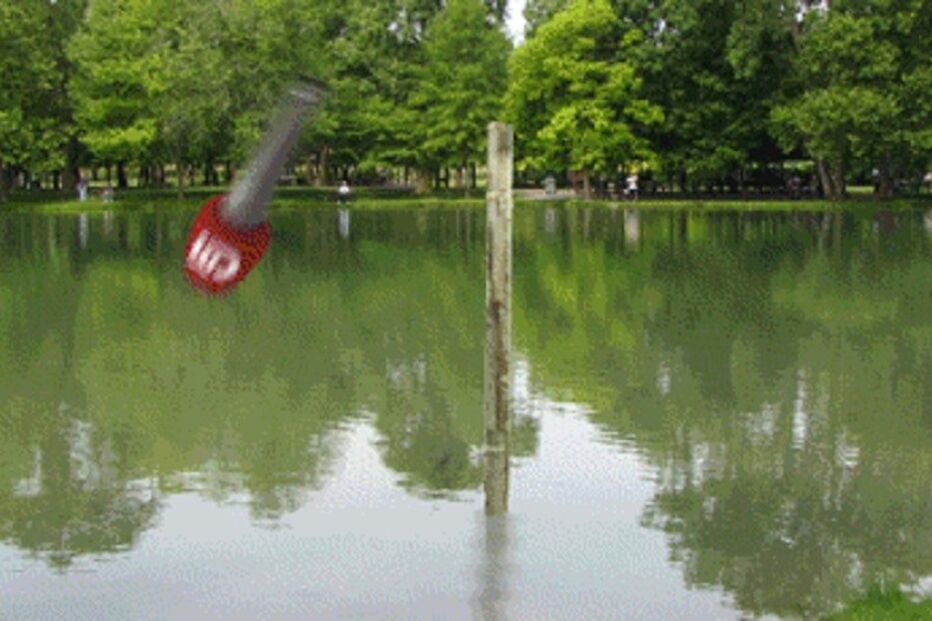 22-06-2016_14_05_45 pato.jpg