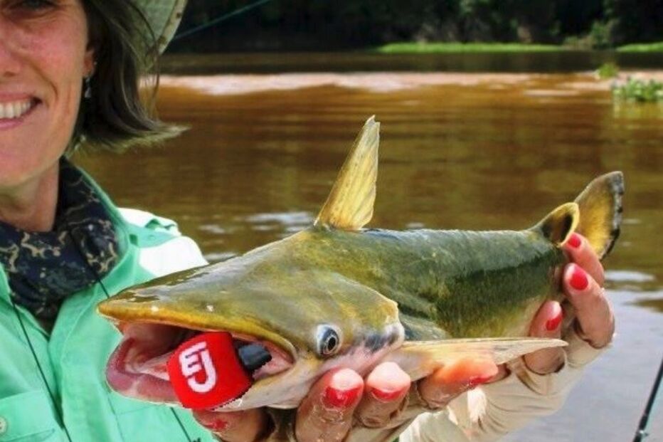 22-06-2016_15_05_13 peixe.jpg