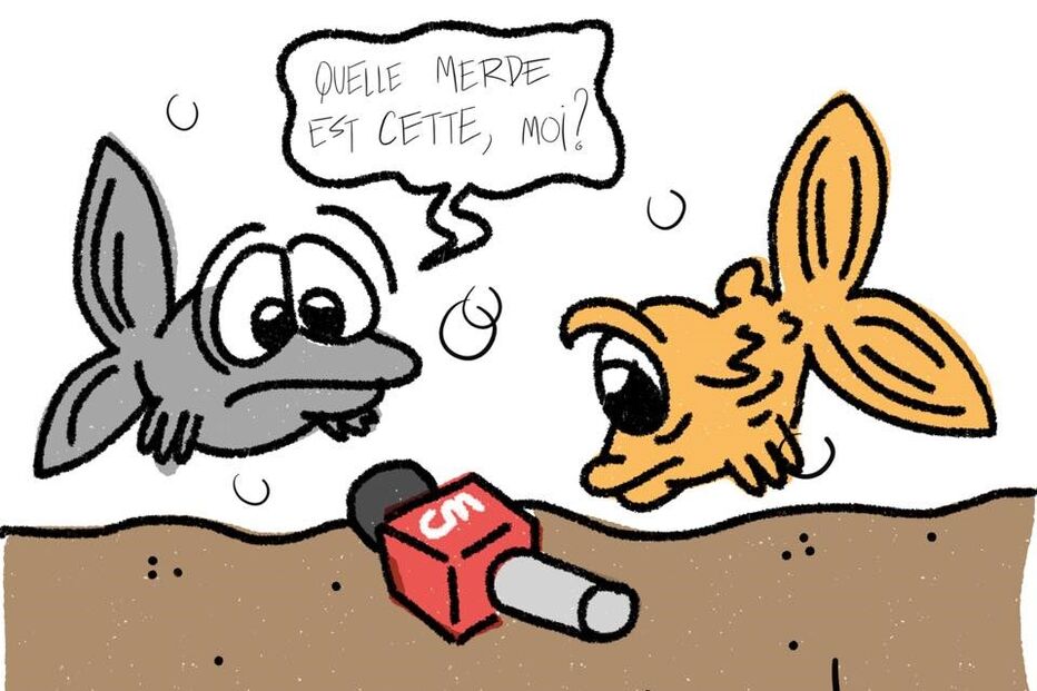 22-06-2016_15_13_01 markl.jpg