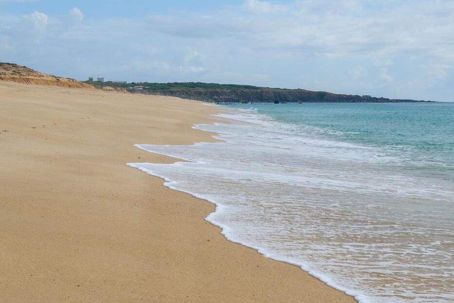 Odemira, Sines, Grândola, autoridades locais, praias, nadador salvador