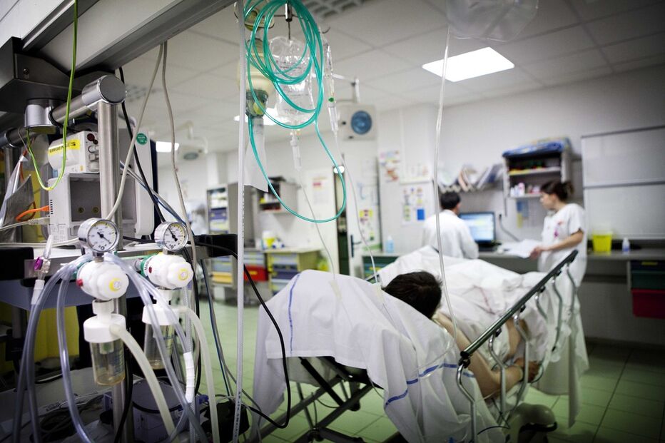 Sindicato dos Enfermeiros Portugueses, SEP, Serviço Nacional de Saúde, Guadalupe, Ana Rita Cavaco, Jorge Roque da Cunha, Sindicato Independente dos Médicos