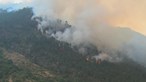 Incêndio já consumiu mais de mil hectares do Parque da Serra da Estrela