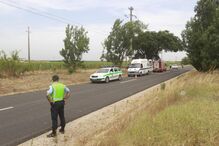 Montijo, acidente, morte, distração, árvore, estrada