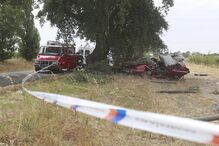Montijo, acidente, morte, distração, árvore, estrada
