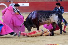 Victor Barrio, tourada, tauromaquia, morte, Teruel, Espanha