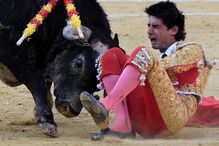 Victor Barrio, tourada, tauromaquia, morte, Teruel, Espanha