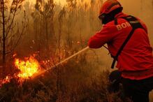 Incêndios, Portugal, Floresta, Incêndio Florestal, Bombeiros