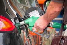 Presidente da República, Marcelo Rebelo de Sousa, combustíveis, impostos, animais, política, parlamento