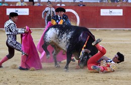 O matador de touros Victor Barrio foi colhido mortalmente 