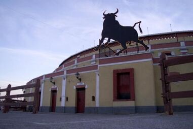 Oito feridos nas largadas de touros do Colete Encarnado em Vila Franca de Xira