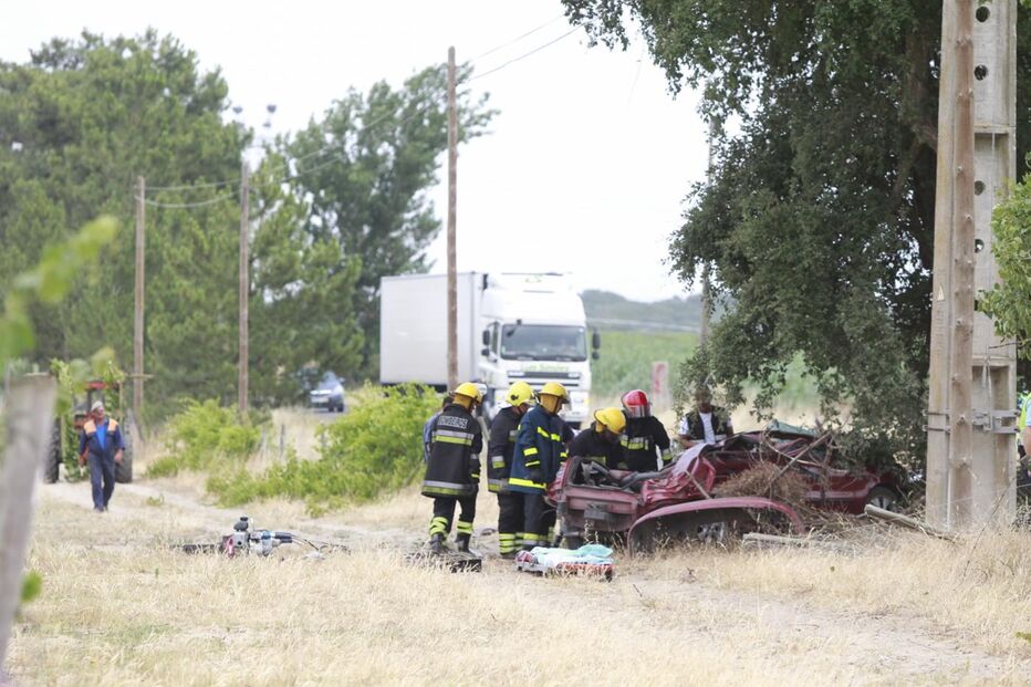 Montijo, acidente, morte, distração, árvore, estrada