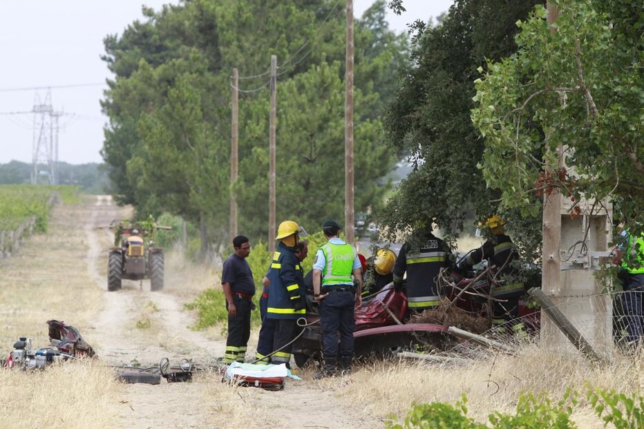 Montijo, acidente, morte, distração, árvore, estrada