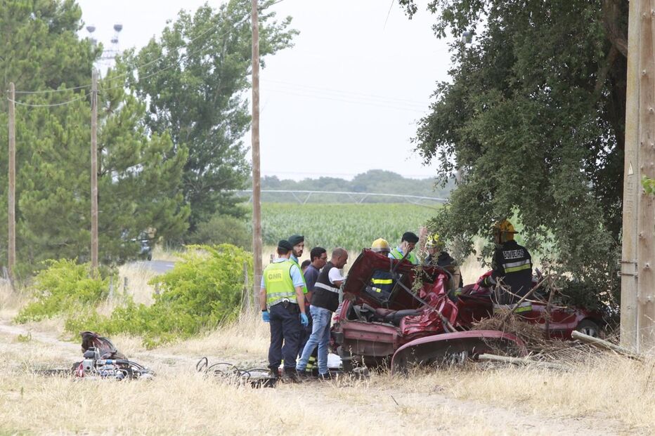 Montijo, acidente, morte, distração, árvore, estrada