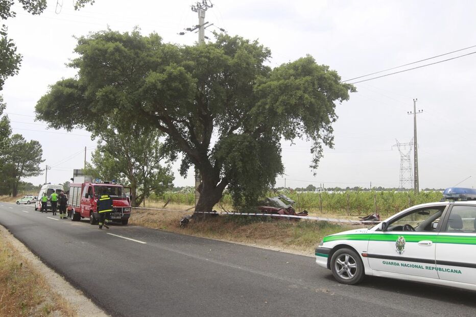 Montijo, acidente, morte, distração, árvore, estrada