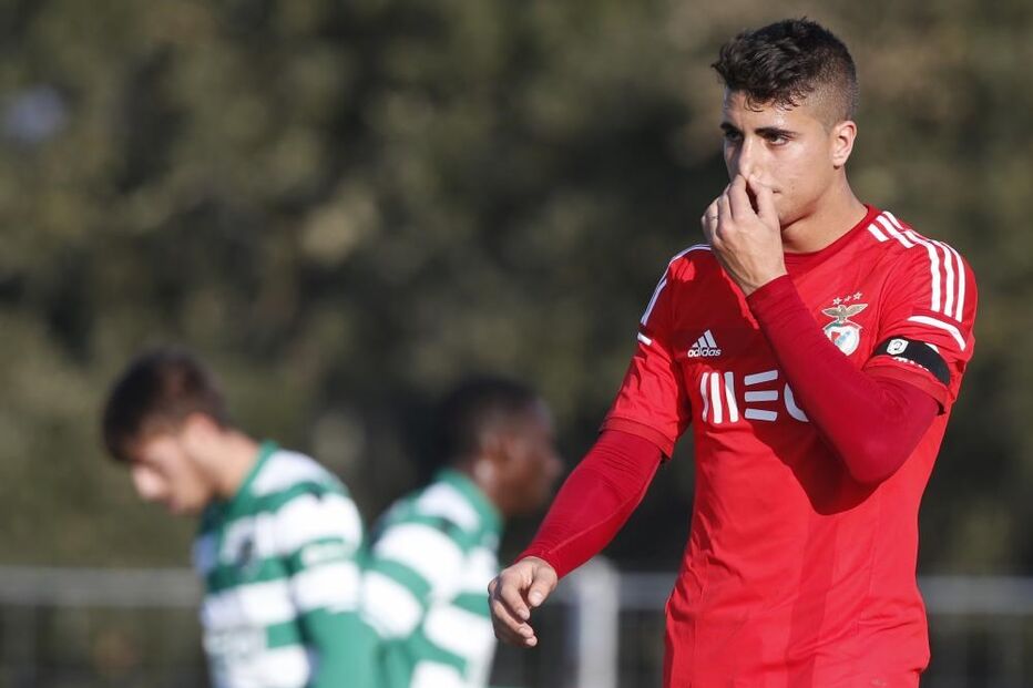Fábio Cardoso, Desporto, Futebol, Benfica, V. Setúbal