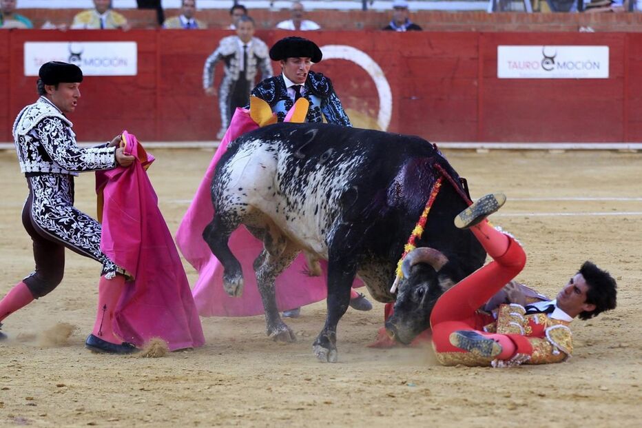 Victor Barrio, tourada, tauromaquia, morte, Teruel, Espanha