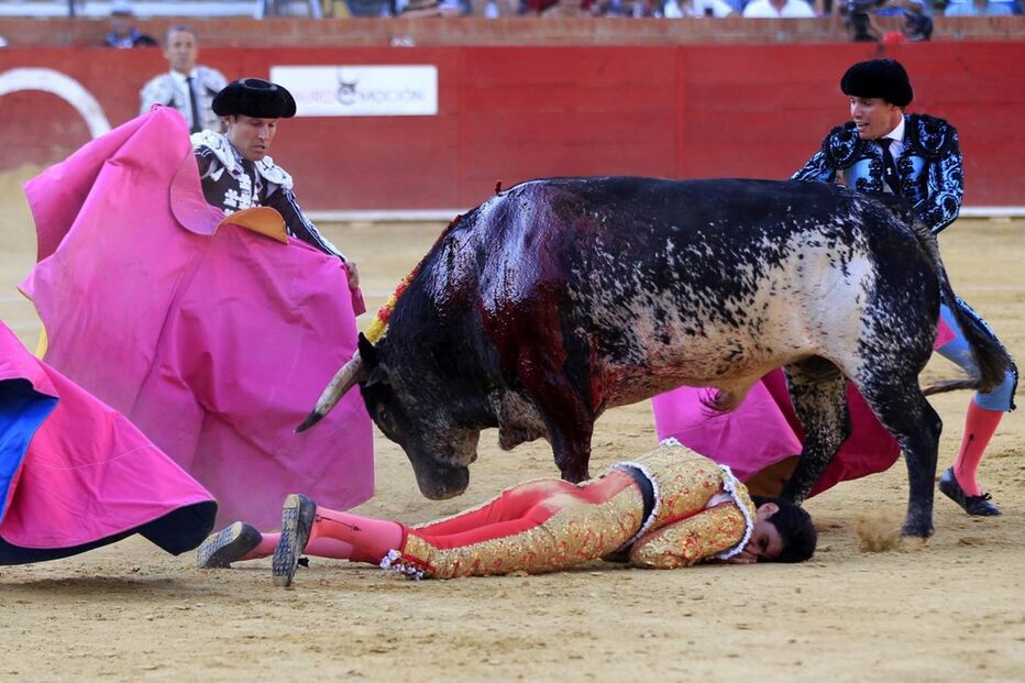 Victor Barrio, tourada, tauromaquia, morte, Teruel, Espanha