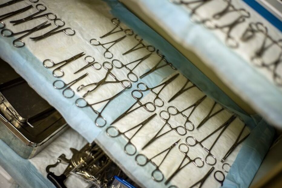 Allan Matthews, cirurgião, testículo