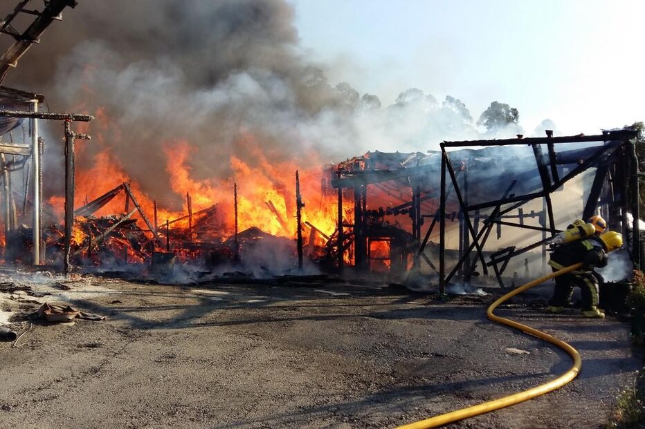 São Paio de Oleiros, presépio da Cavalinho, Livro dos Recordes do Guinness, incêndios
