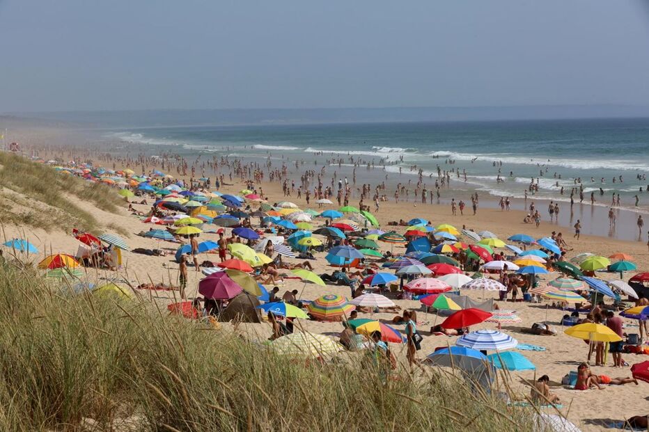 24-07-2016_08_18_37 12207765.JPG