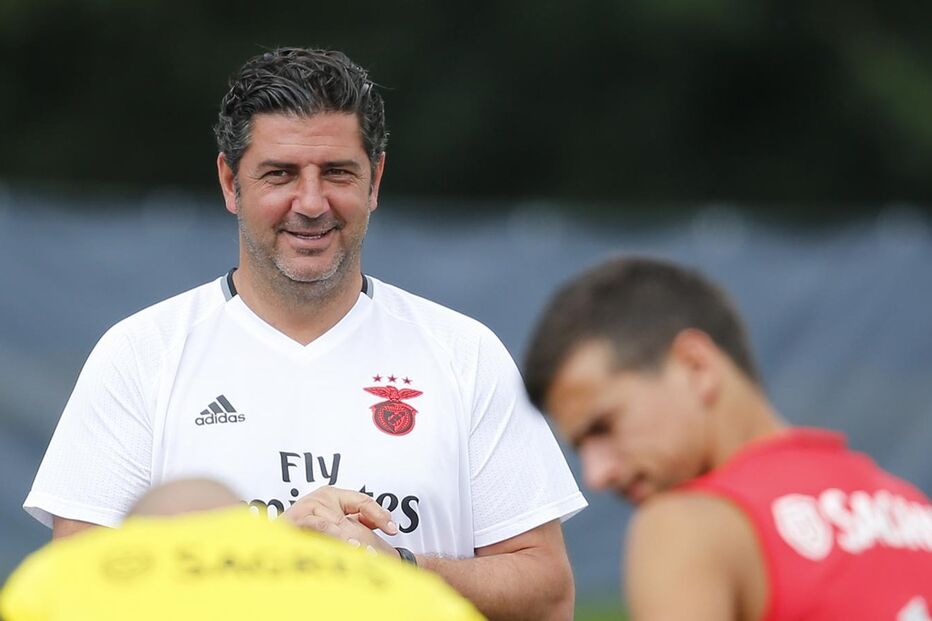 Benfica, Rui Vitória, desporto, futebol