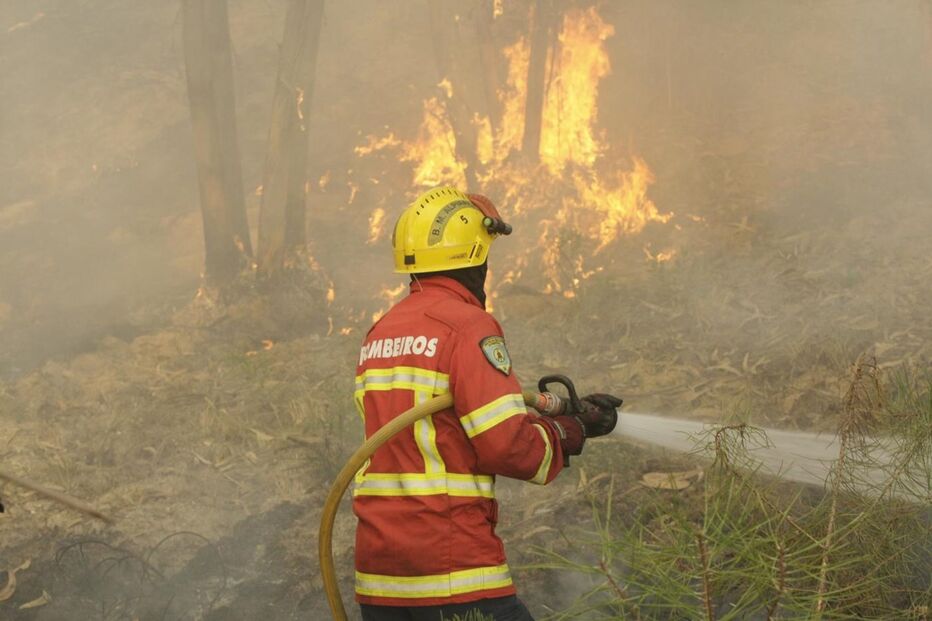 Polícia Judiciária, PJ, polícia