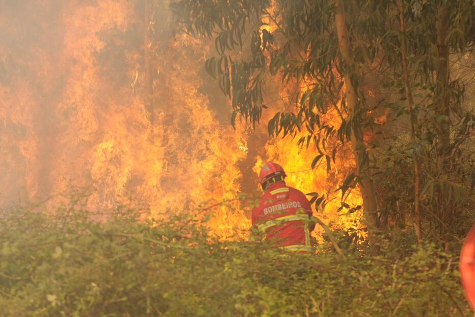 bombeiros, chamas, fogo, incêndio