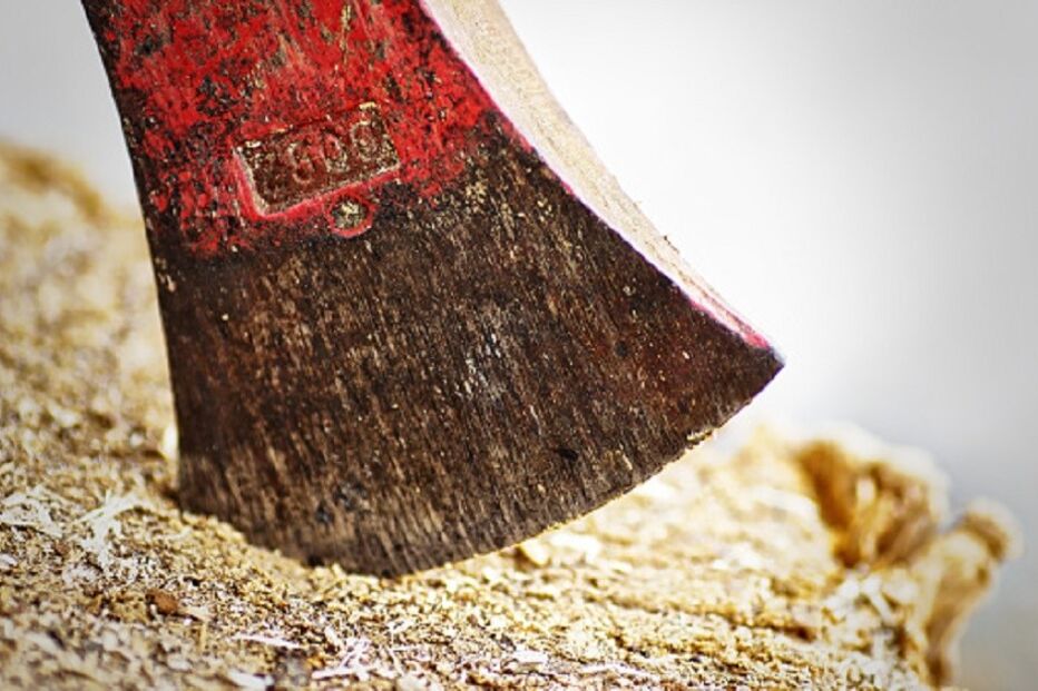 28-07-2016_15_54_08 machado.jpg